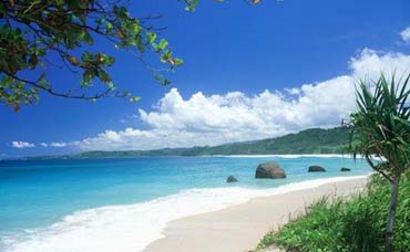 Природа и культура Индонезии удивляют туристов