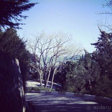 Деловая поездка удалась!