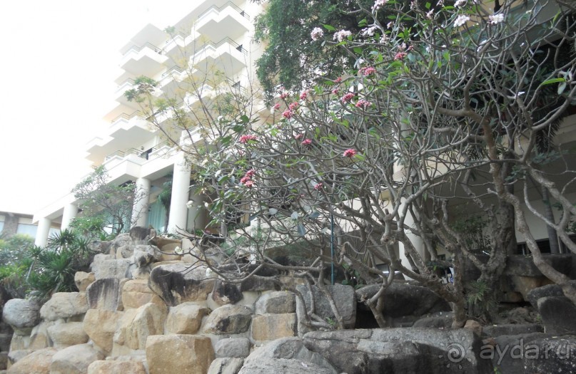 Уютное, спокойное  местечко для отдыха!!!