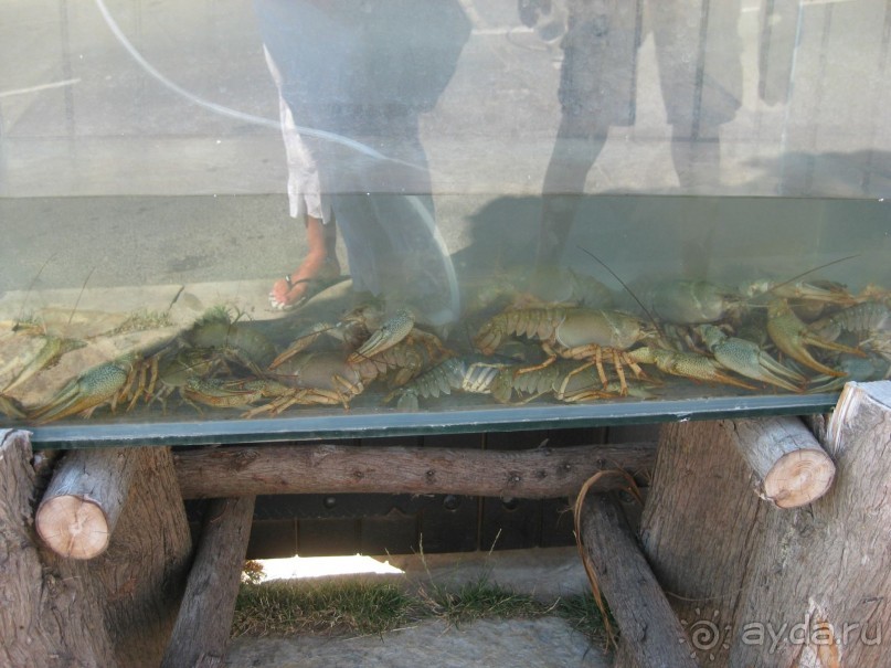 Святой Влас