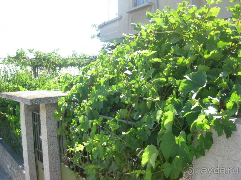 мы сюда обязательно вернёмся!