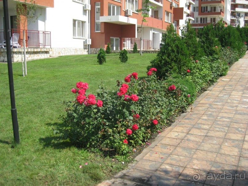 Территория Панорамы и Марины Форт Нокс