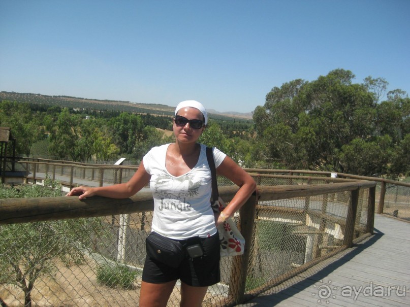 Всё вроде ничего,но больше не поеду!