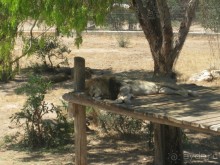 Всё вроде ничего,но больше не поеду!