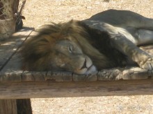 Всё вроде ничего,но больше не поеду!