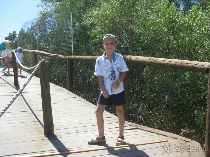 Всё вроде ничего,но больше не поеду!