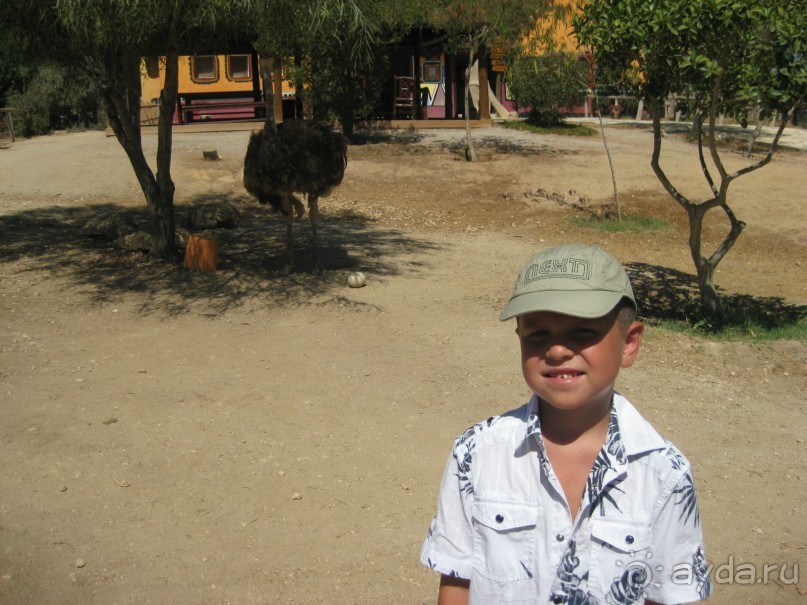 Всё вроде ничего,но больше не поеду!