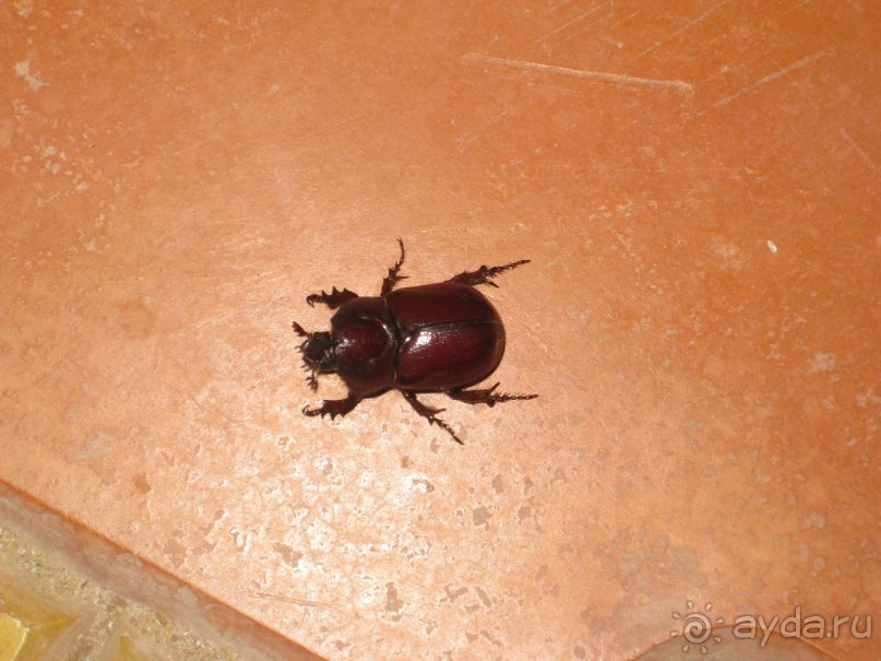 Всё вроде ничего,но больше не поеду!