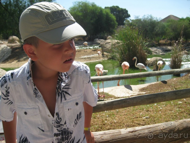 Всё вроде ничего,но больше не поеду!