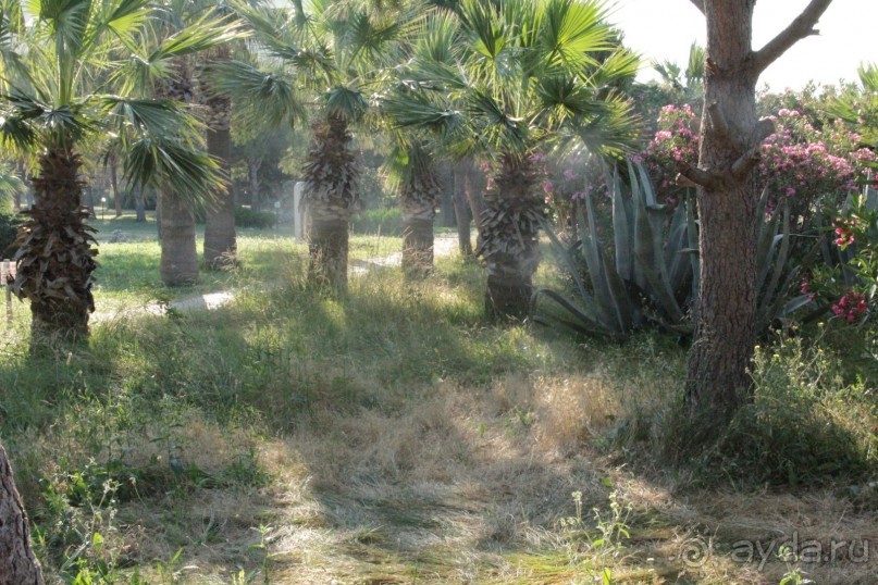 Зеленый рай для малышей(пишу для мам ,в основном))))