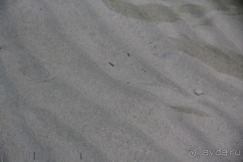 Зеленый рай для малышей(пишу для мам ,в основном))))