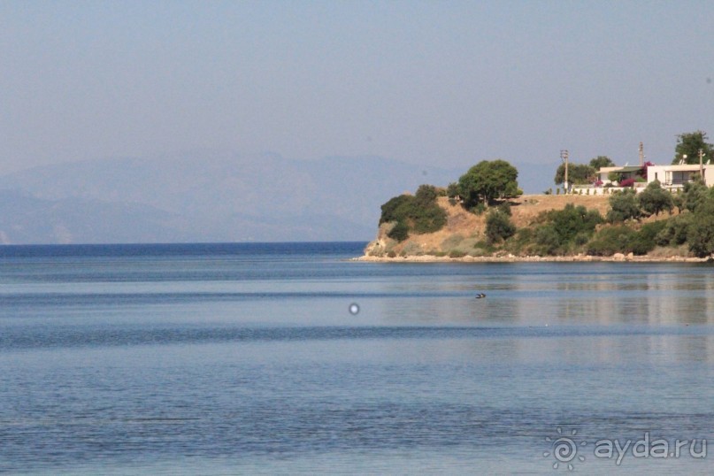 Зеленый рай для малышей(пишу для мам ,в основном))))