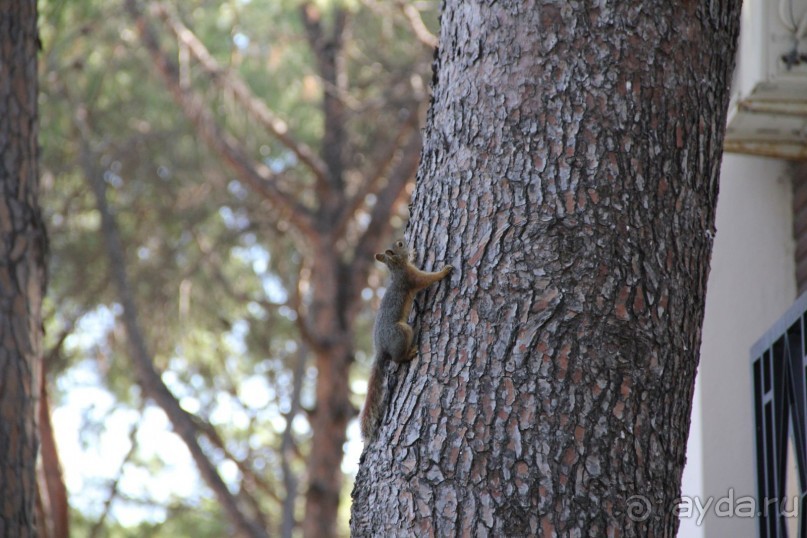 Зеленый рай для малышей(пишу для мам ,в основном))))