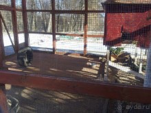 Испорченный медовый месяц