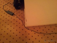 фото Foresta Festival Park