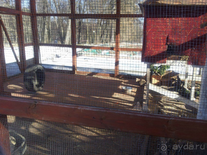 Испорченный медовый месяц