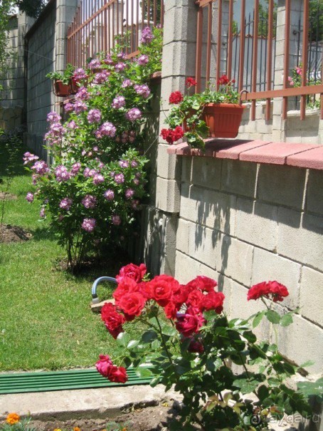 Супер-отдых для мам и детей))