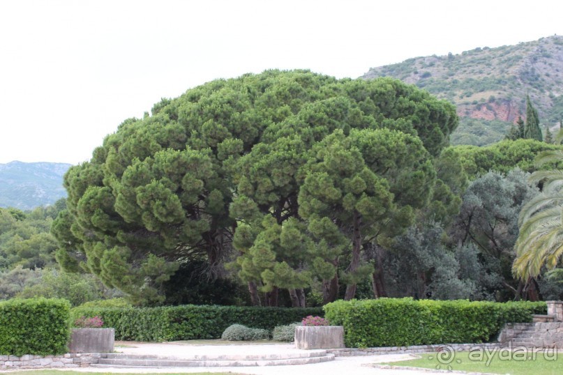      ДЕНЬ 6. Морская прогулка от Будвы до Свети Стефана, о. Святого Николая, Свети стефан, Милочер