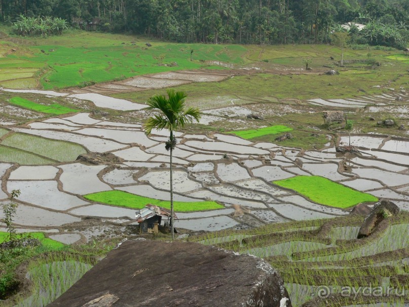 Сказка острова с Нуваном!!!