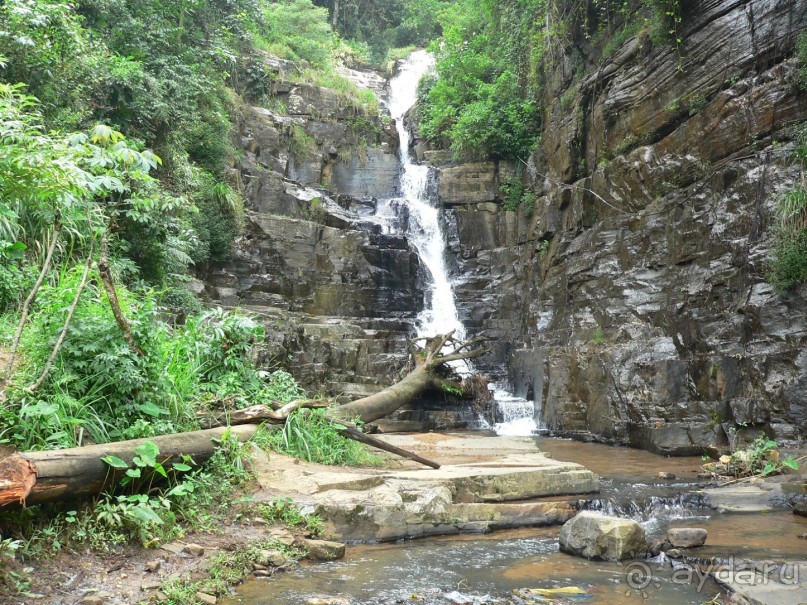 Сказка острова с Нуваном!!!