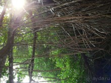 Сказка острова с Нуваном!!!