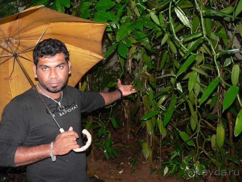 Сказка острова с Нуваном!!!