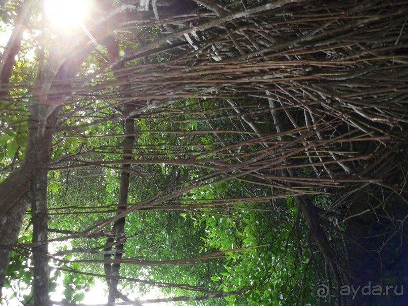 Сказка острова с Нуваном!!!