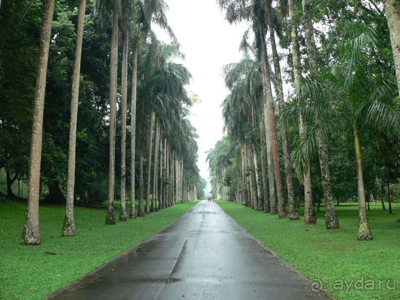 Сказка острова с Нуваном!!!