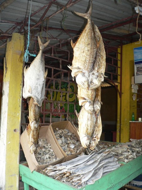 Сказка острова с Нуваном!!!