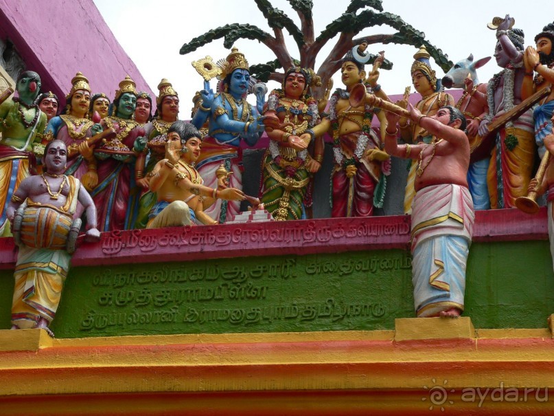 Сказка острова с Нуваном!!!