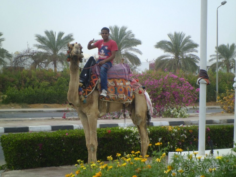 не рекомендую