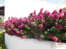 кусочек рая