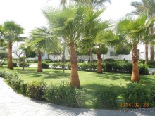 кусочек рая