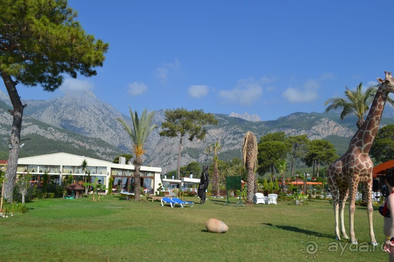 УЮТНЫЙ СЕМЕЙНЫЙ ОТЕЛЬ!