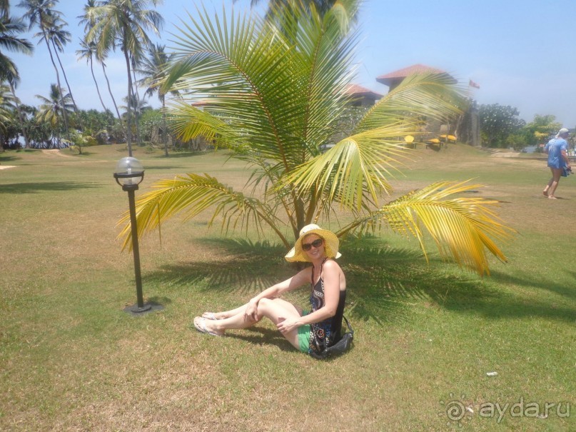 отель бесподобный,все просто великолепно