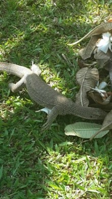 отель бесподобный,все просто великолепно