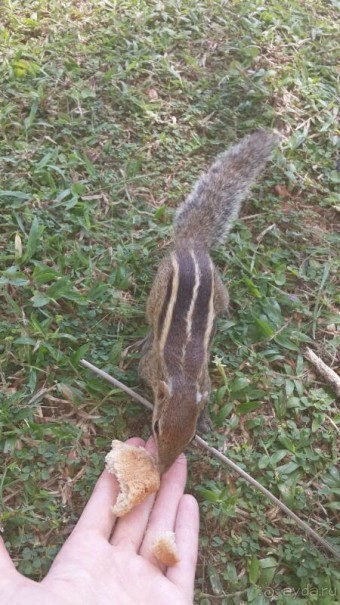 отель бесподобный,все просто великолепно