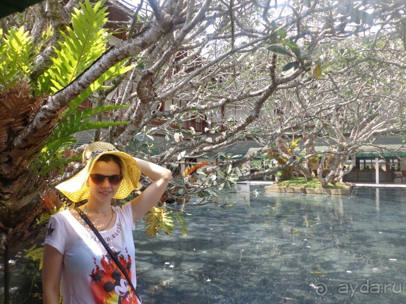 отель бесподобный,все просто великолепно