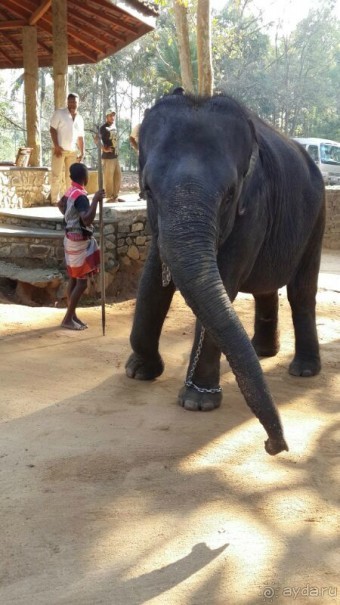 отель бесподобный,все просто великолепно