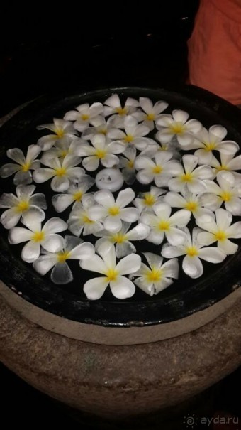 отель бесподобный,все просто великолепно