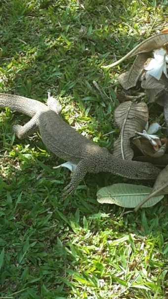 отель бесподобный,все просто великолепно