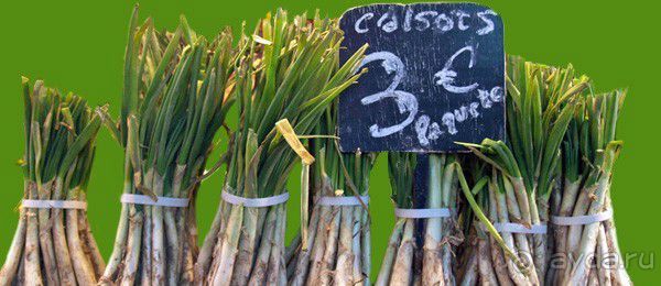 7 причин посетить Барселону весной