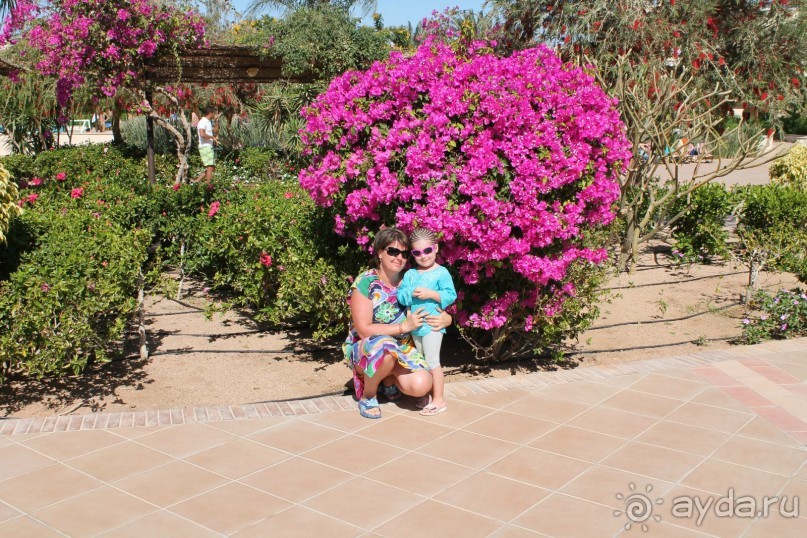 фото Macdonald Holyrood