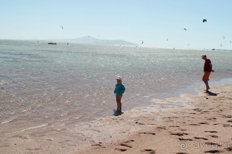 фото Macdonald Holyrood