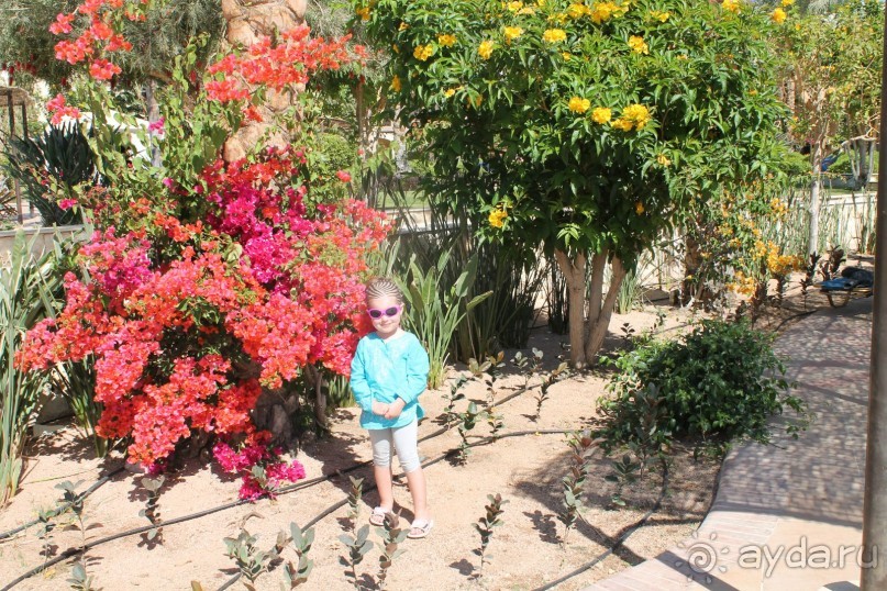 фото Macdonald Holyrood