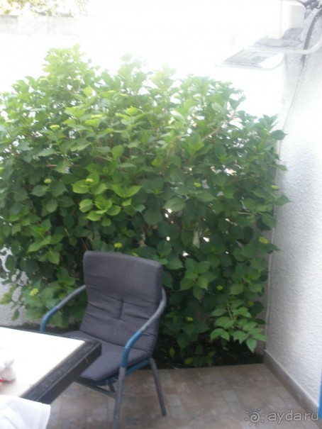 Хорощий отель!!!!!