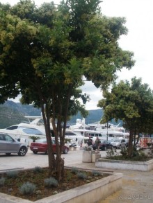 Хорощий отель!!!!!