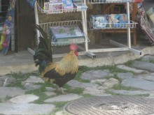 Отель, в который хочется вернуться