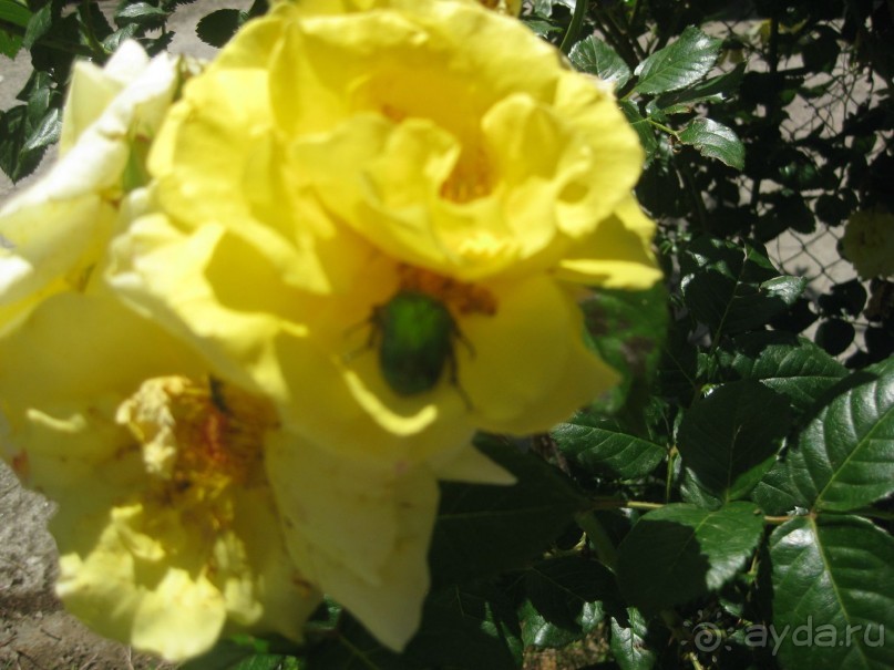 Отель, в который хочется вернуться