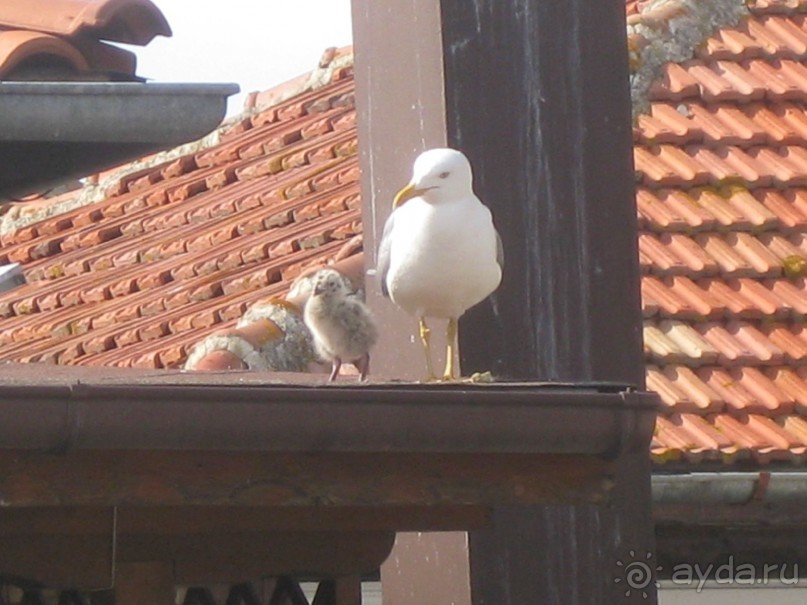 Отель, в который хочется вернуться